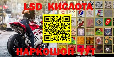 стаф Славгород