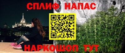 дурь Сланцы
