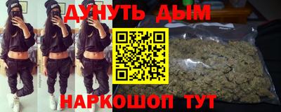 стаф Славгород