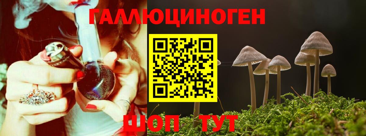 Псилоцибиновые грибы мицелий  Вход с VPN  Галлюциногенные грибы GOLDEN TEACHER  что такое   Сальск 