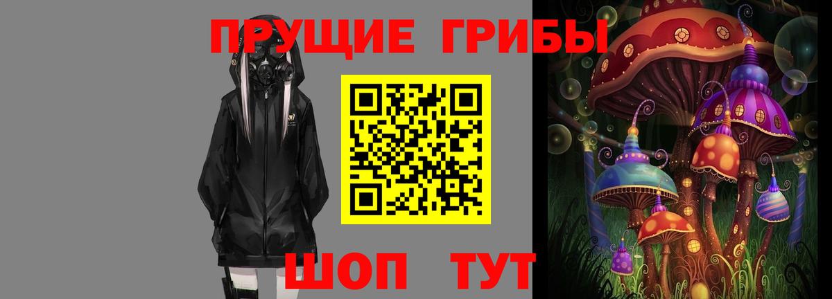 Псилоцибиновые грибы Cubensis Сальск