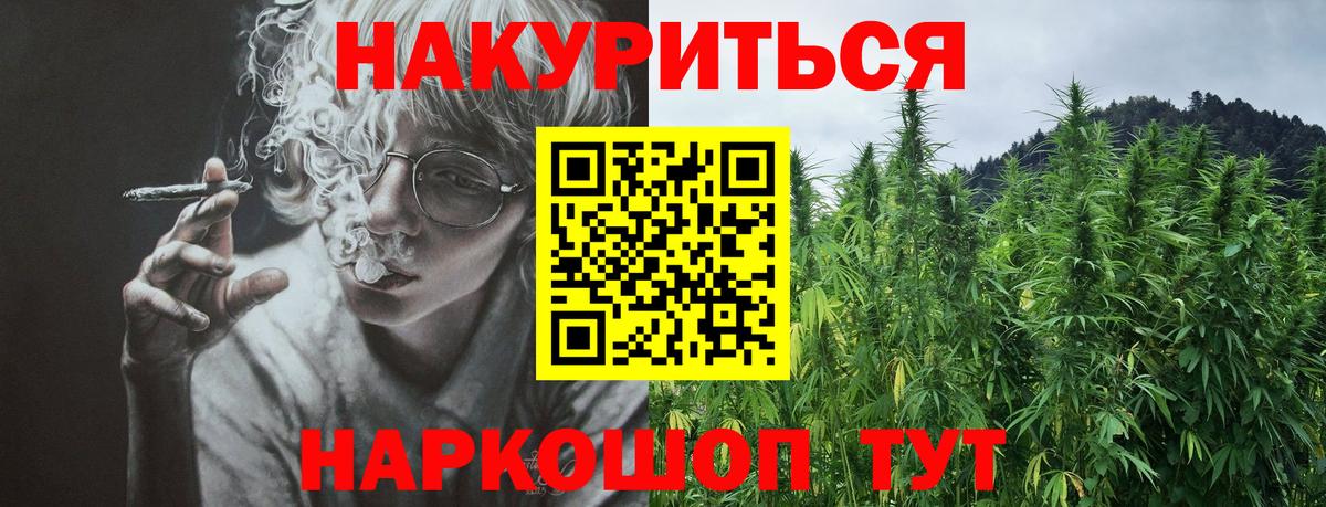 Бошки Шишки план Сальск