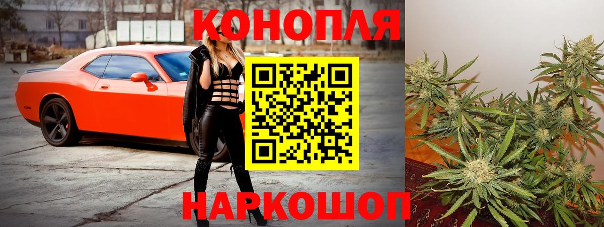 Шишки марихуана гибрид  Марихуана план  Вход с VPN  Бошки марихуана LSD WEED  Каннабис THC 21%  Сальск 